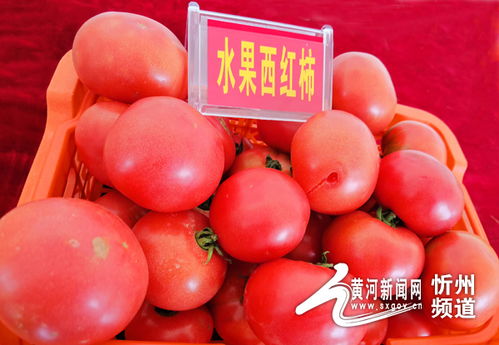 五台县豆村镇举行活动庆祝第三个中国农民丰收节